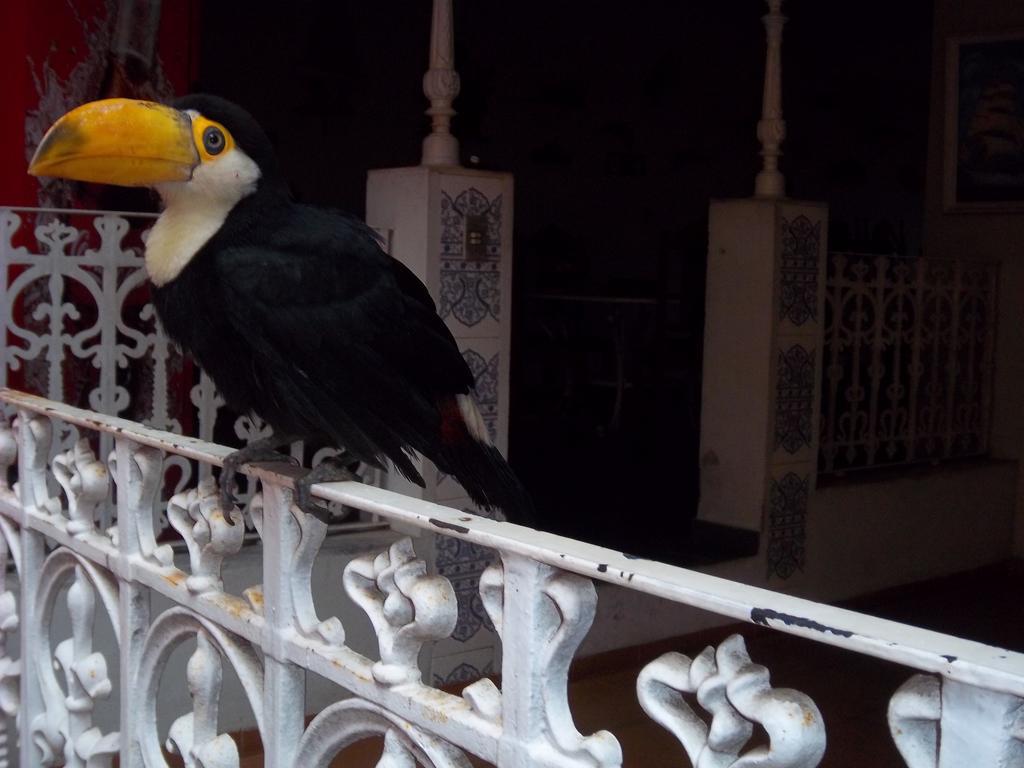 Pousada Do Mendonca Juiz de Fora Ngoại thất bức ảnh