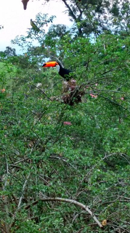 Pousada Do Mendonca Juiz de Fora Ngoại thất bức ảnh