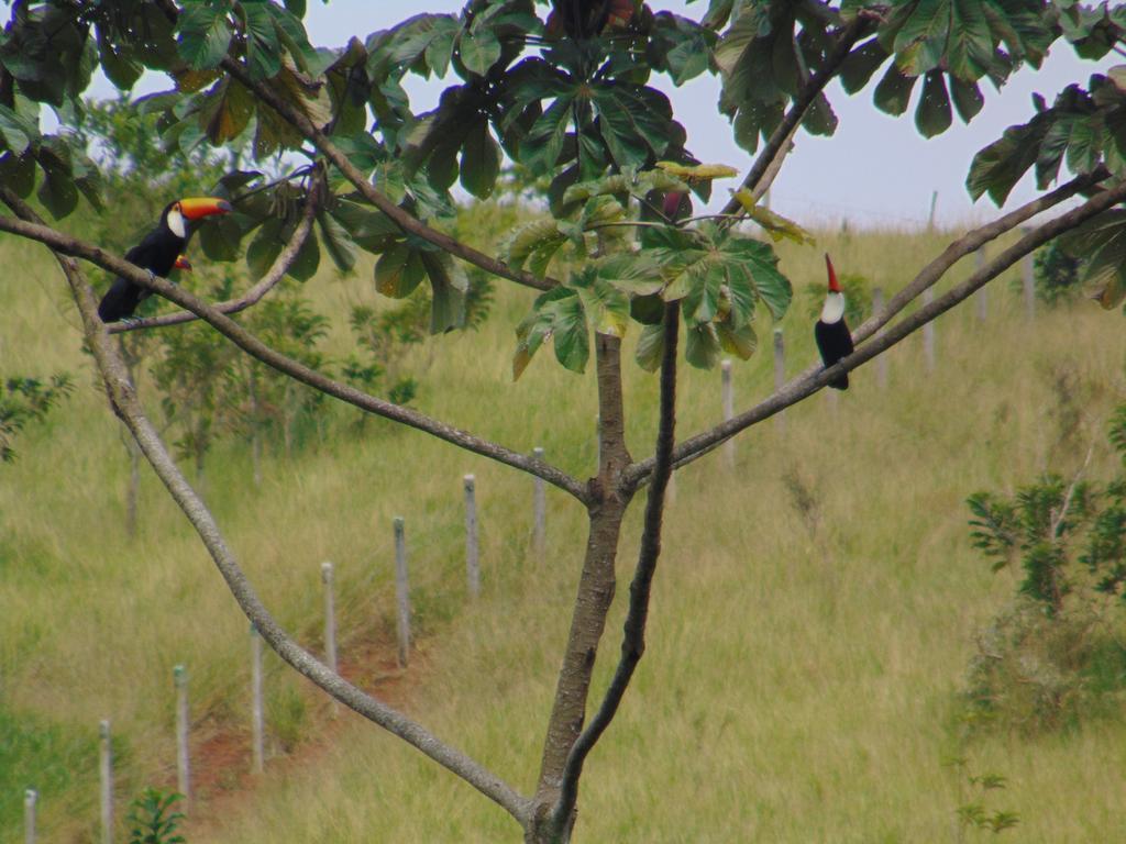 Pousada Do Mendonca Juiz de Fora Ngoại thất bức ảnh